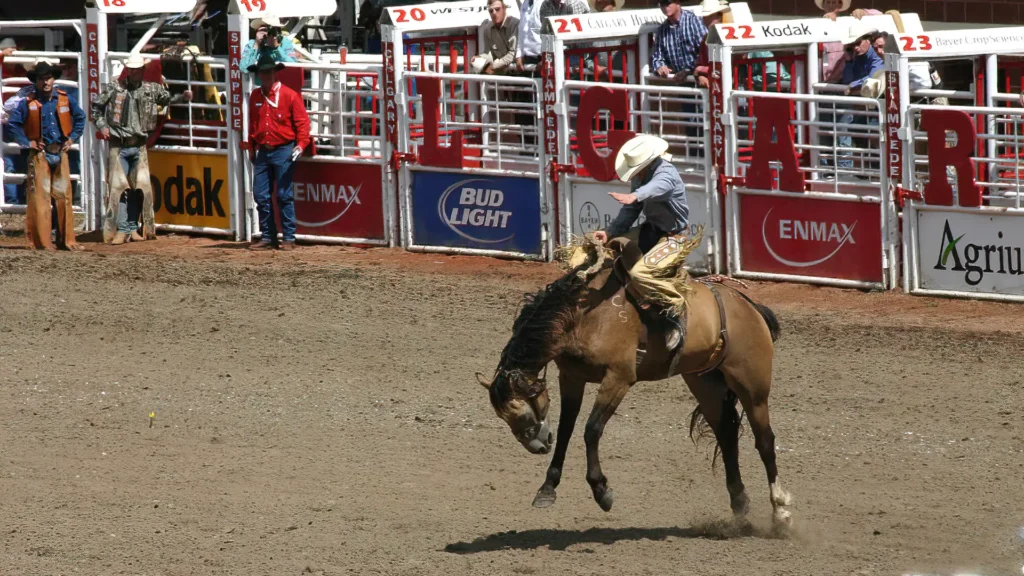 Reporting Security Incidents at Calgary Events - Calgary Stampede